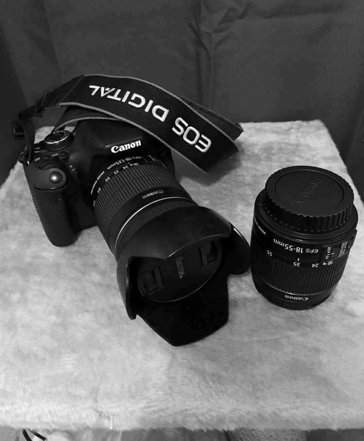 Canon EOS 600D mon premier reflex et détails