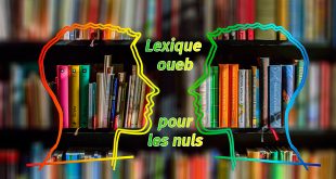 mon lexique oube pour les nuls